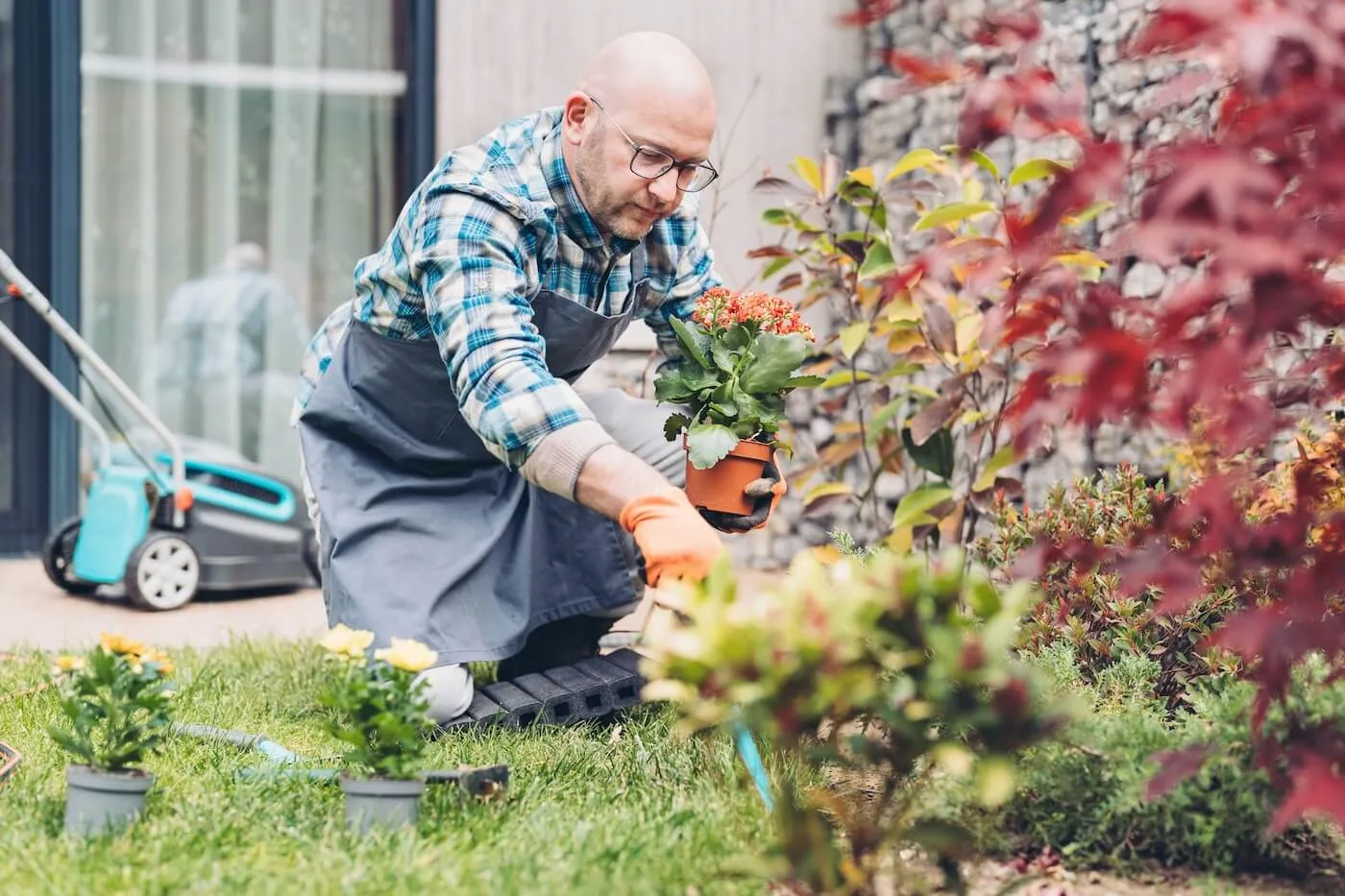 Mature man planting the flowers in the garden