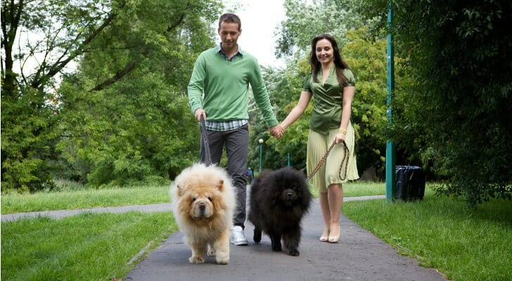 A pair of dog walkers
