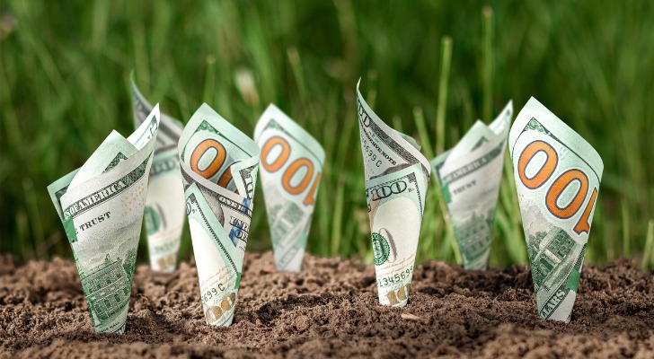 U.S. dollars appear to be growing from the ground like plants against a backdrop of greenery.